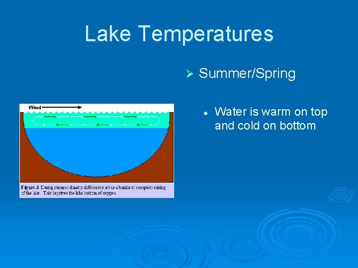 Lake Temperatures Ø Summer/Spring l Water is warm on top and cold on bottom