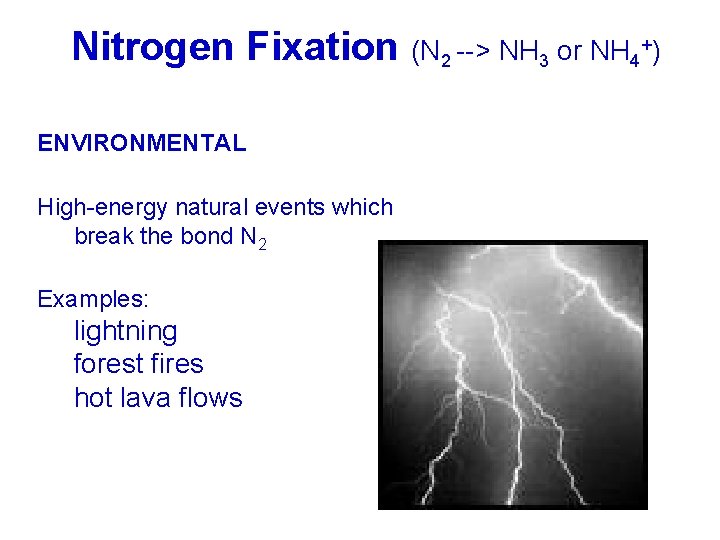 Nitrogen Fixation (N 2 --> NH 3 or NH 4+) ENVIRONMENTAL High-energy natural events