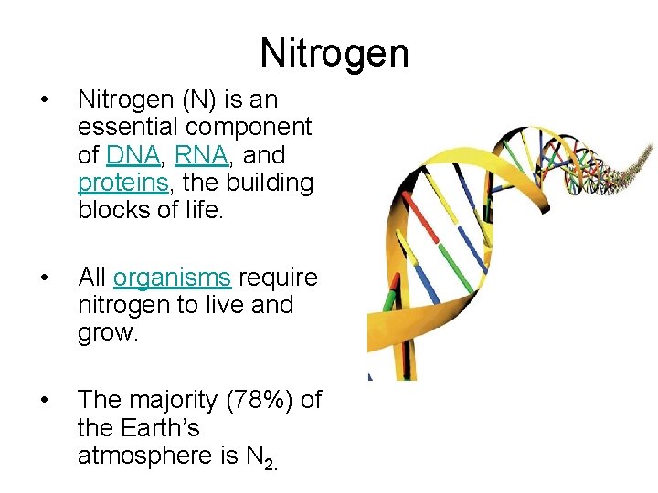 Nitrogen • Nitrogen (N) is an essential component of DNA, RNA, and proteins, the