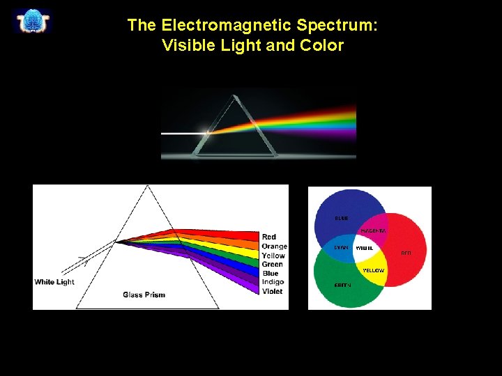 The Electromagnetic Spectrum: Visible Light and Color 