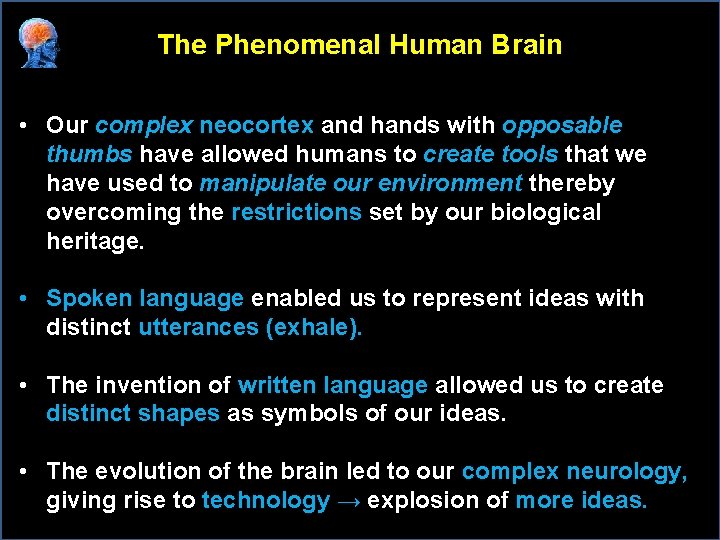 The Phenomenal Human Brain • Our complex neocortex and hands with opposable thumbs have