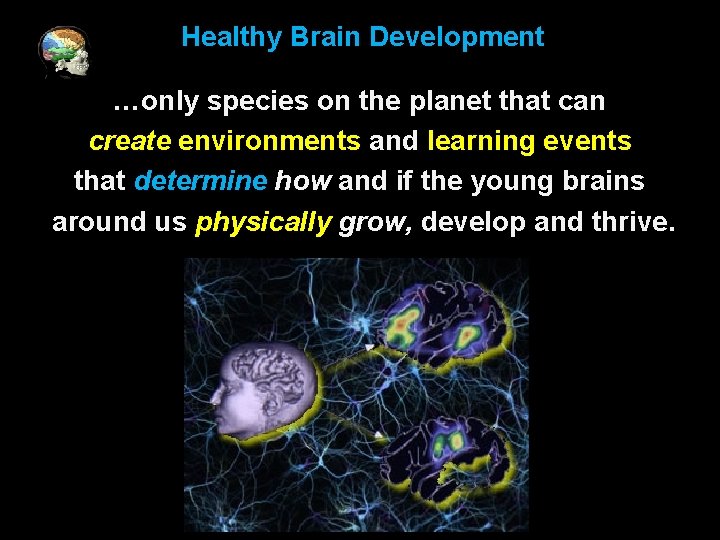 Healthy Brain Development …only species on the planet that can create environments and learning