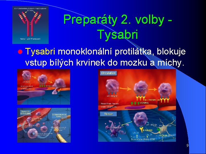 Preparáty 2. volby Tysabri l Tysabri monoklonální protilátka, blokuje vstup bílých krvinek do mozku