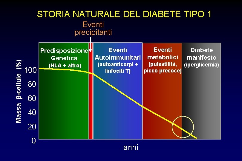 STORIA NATURALE DEL DIABETE TIPO 1 Massa -cellule (%) Eventi precipitanti Predisposizione Genetica 100