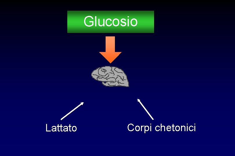 Glucosio Lattato Corpi chetonici 