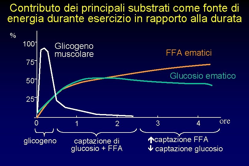 Contributo dei principali substrati come fonte di energia durante esercizio in rapporto alla durata