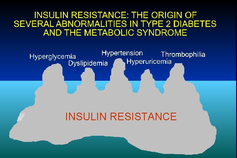 INSULIN RESISTANCE 