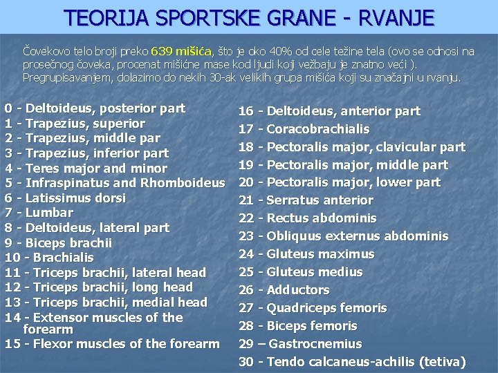 TEORIJA SPORTSKE GRANE - RVANJE Čovekovo telo broji preko 639 mišića, što je oko