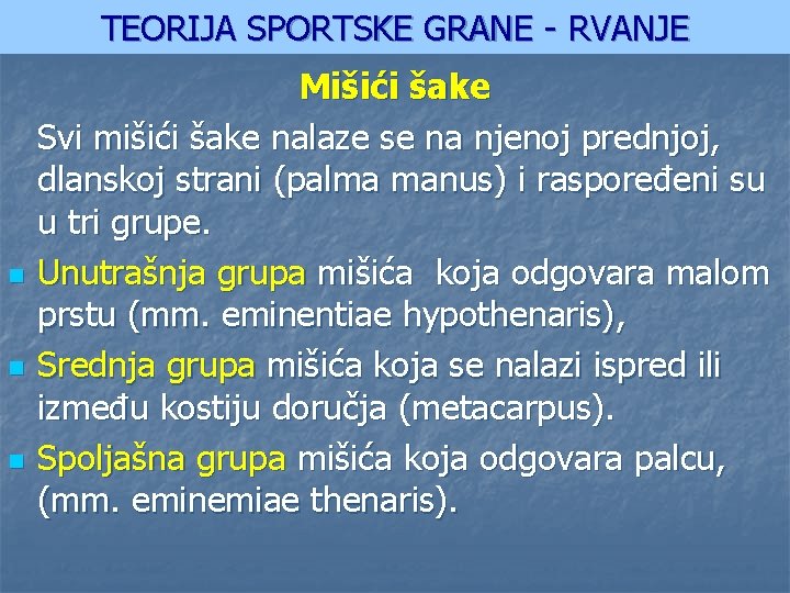 TEORIJA SPORTSKE GRANE - RVANJE n n n Mišići šake Svi mišići šake nalaze