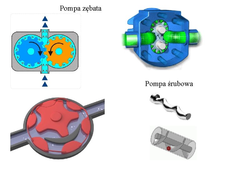 Pompa zębata Pompa śrubowa Pompa zębata Pompa śrubowa