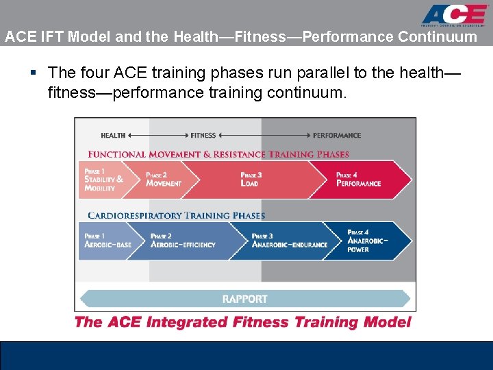 ACE IFT Model and the Health—Fitness—Performance Continuum § The four ACE training phases run