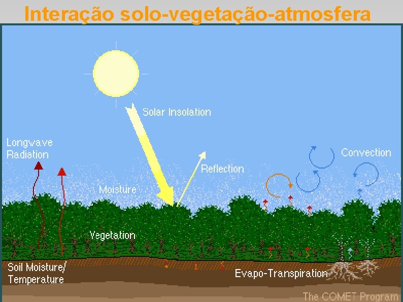 Interação solo-vegetação-atmosfera Interação solo-vegetação-atmosfera