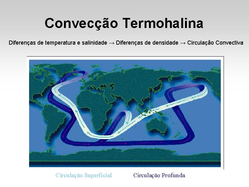 Convecção Termohalina Diferenças de temperatura e salinidade → Diferenças de densidade → Circulação Convectiva Convecção Termohalina Diferenças de temperatura e salinidade → Diferenças de densidade → Circulação Convectiva