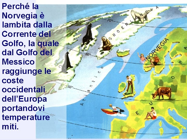 Perché la Norvegia è lambita dalla Corrente del Golfo, la quale dal Golfo del Perché la Norvegia è lambita dalla Corrente del Golfo, la quale dal Golfo del