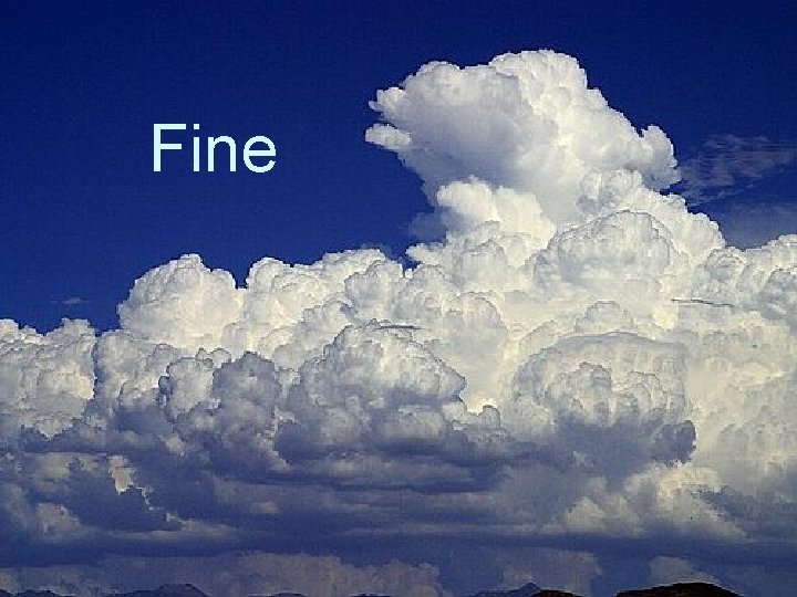 Fine Fine