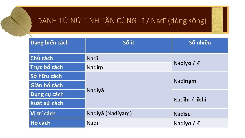 DANH TỪ NỮ TÍNH TẬN CÙNG –ī / Nadī (dòng sông) Dạng biến cách