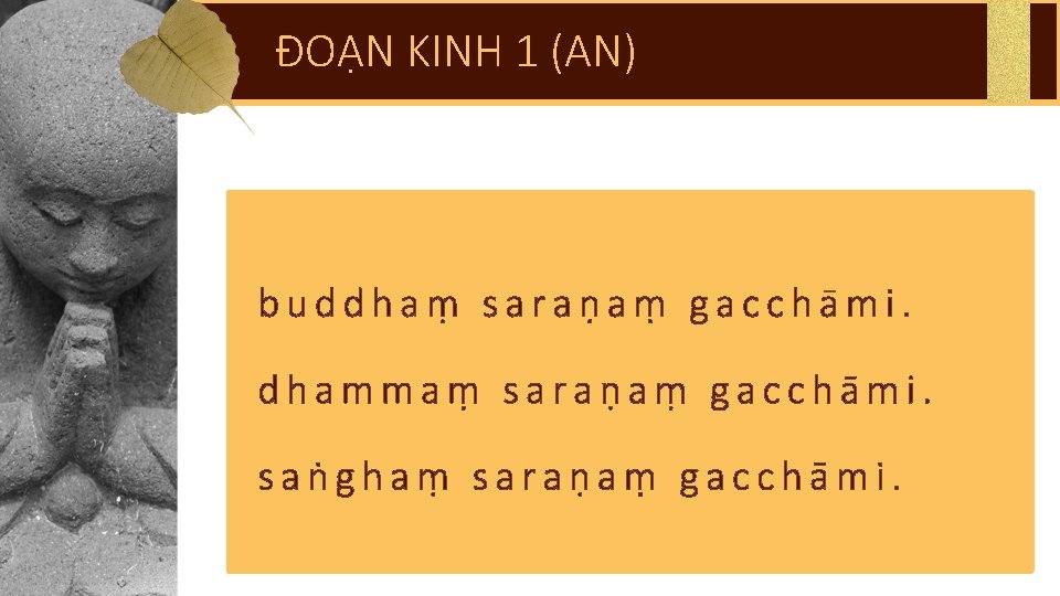 ĐOẠN KINH 1 (AN) buddhaṃ saraṇaṃ gacchāmi. dhammaṃ saraṇaṃ gacchāmi. saṅghaṃ saraṇaṃ gacchāmi. 