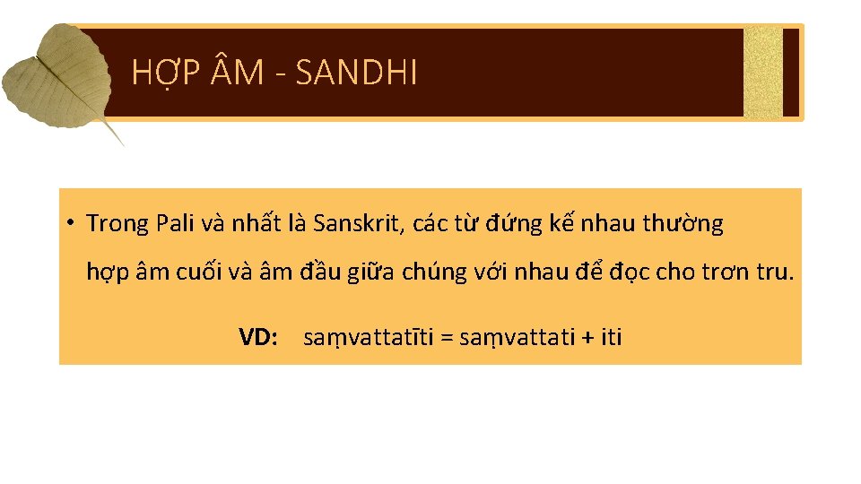 HỢP M - SANDHI • Trong Pali và nhất là Sanskrit, các từ đứng