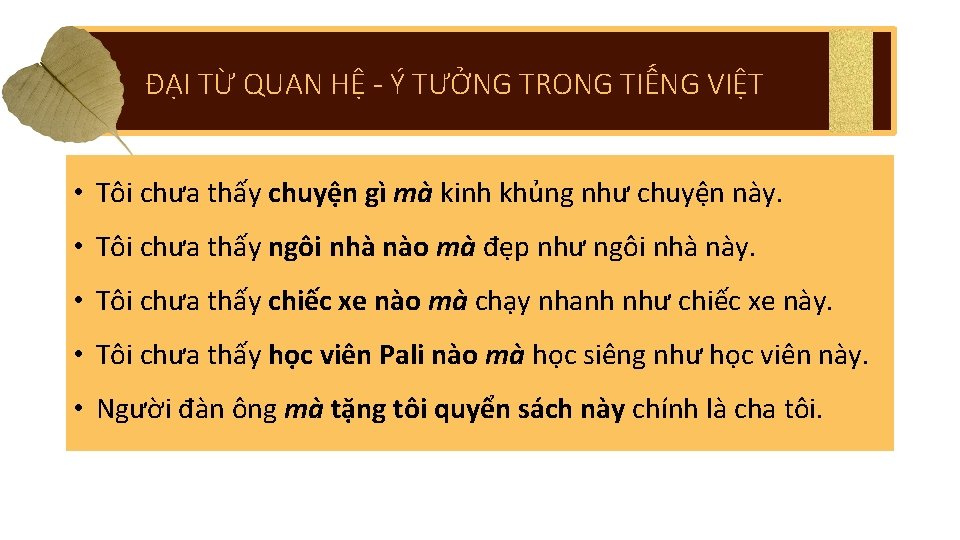 ĐẠI TỪ QUAN HỆ - Ý TƯỞNG TRONG TIẾNG VIỆT • Tôi chưa thấy