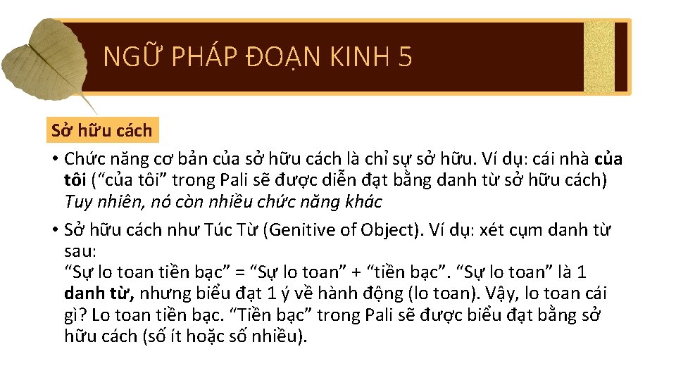 NGỮ PHÁP ĐOẠN KINH 5 Sở hữu cách • Chức năng cơ bản của