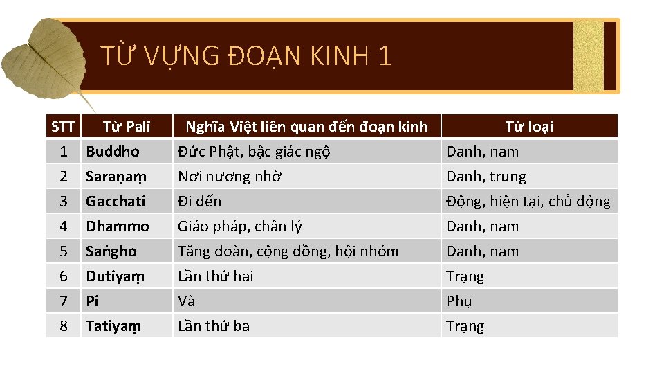 TỪ VỰNG ĐOẠN KINH 1 STT Từ Pali 1 Buddho 2 Saraṇaṃ 3 Gacchati