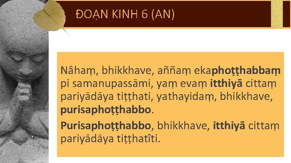 ĐOẠN KINH 6 (AN) Nâhaṃ, bhikkhave, aññaṃ ekaphoṭṭhabbaṃ pi samanupassāmi, yaṃ evaṃ itthiyā cittaṃ