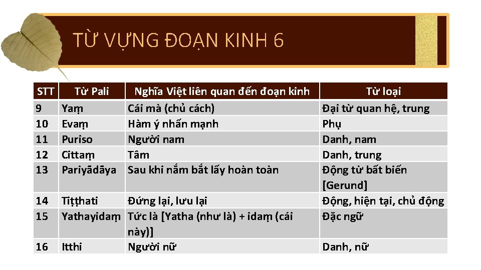 TỪ VỰNG ĐOẠN KINH 6 STT 9 10 11 12 13 Từ Pali Yaṃ