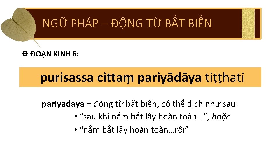 NGỮ PHÁP – ĐỘNG TỪ BẤT BIẾN ĐOẠN KINH 6: purisassa cittaṃ pariyādāya tiṭṭhati