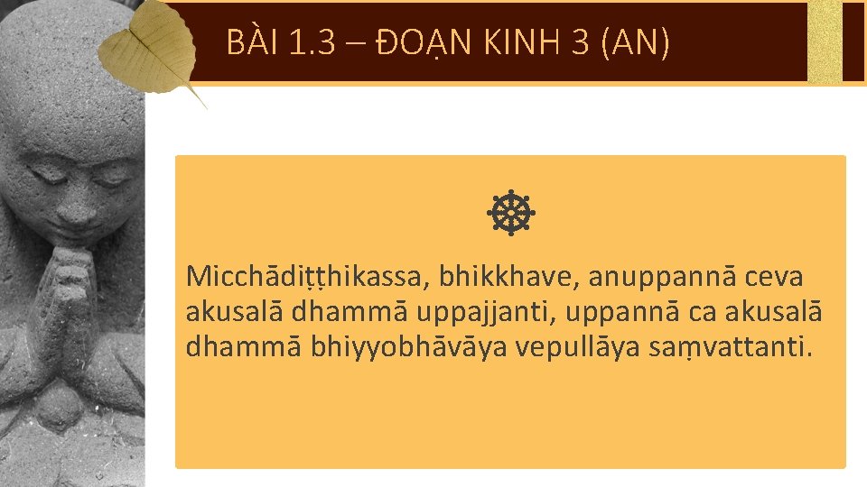 BÀI 1. 3 – ĐOẠN KINH 3 (AN) Micchādiṭṭhikassa, bhikkhave, anuppannā ceva akusalā dhammā