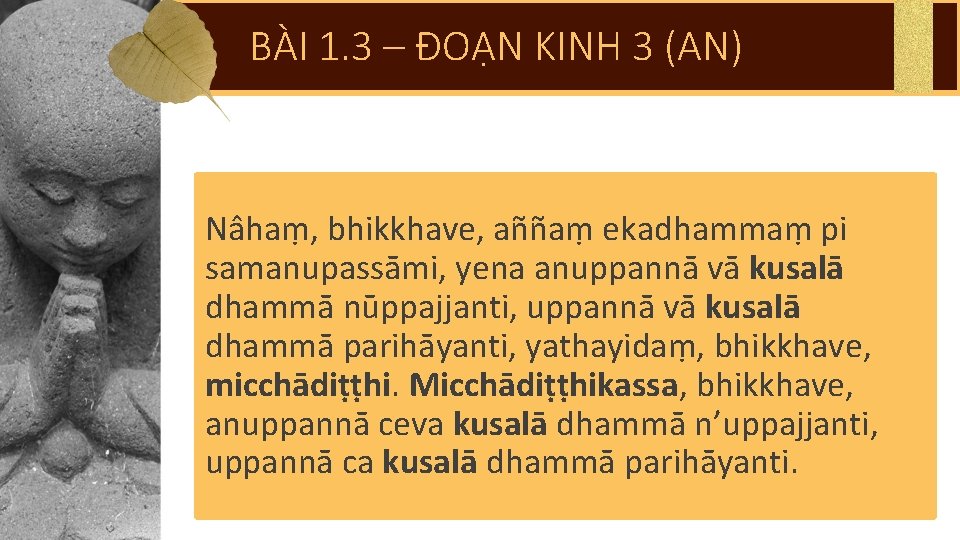 BÀI 1. 3 – ĐOẠN KINH 3 (AN) Nâhaṃ, bhikkhave, aññaṃ ekadhammaṃ pi samanupassāmi,