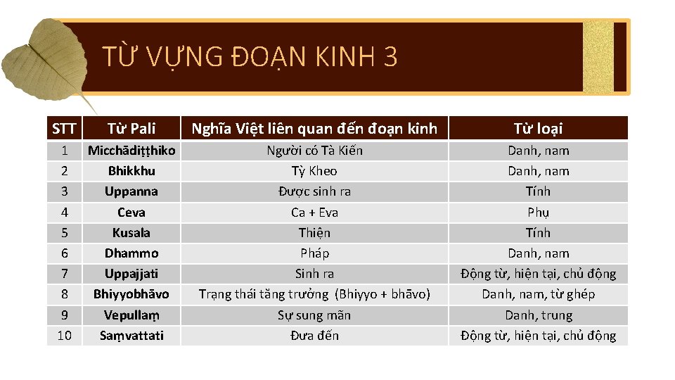 TỪ VỰNG ĐOẠN KINH 3 STT Từ Pali Nghĩa Việt liên quan đến đoạn