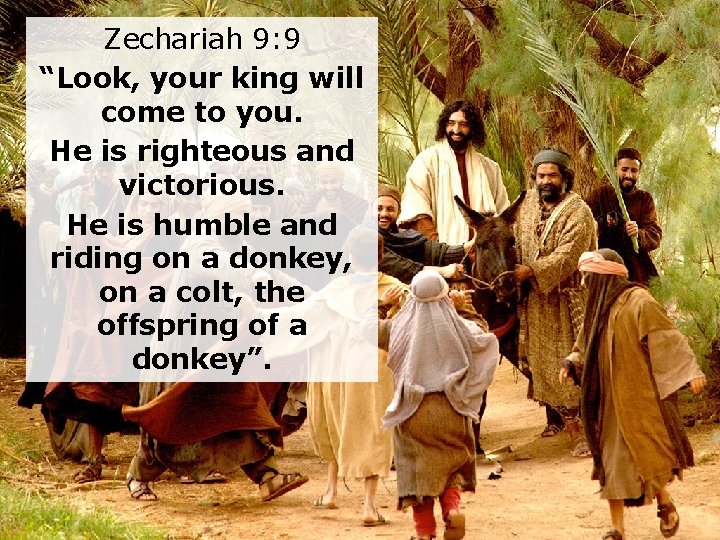 Zechariah 9: 9 “Look, your king will come to you. He is righteous and