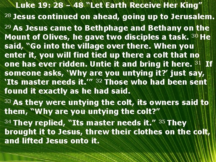 Luke 19: 28 – 48 “Let Earth Receive Her King” 28 Jesus continued on