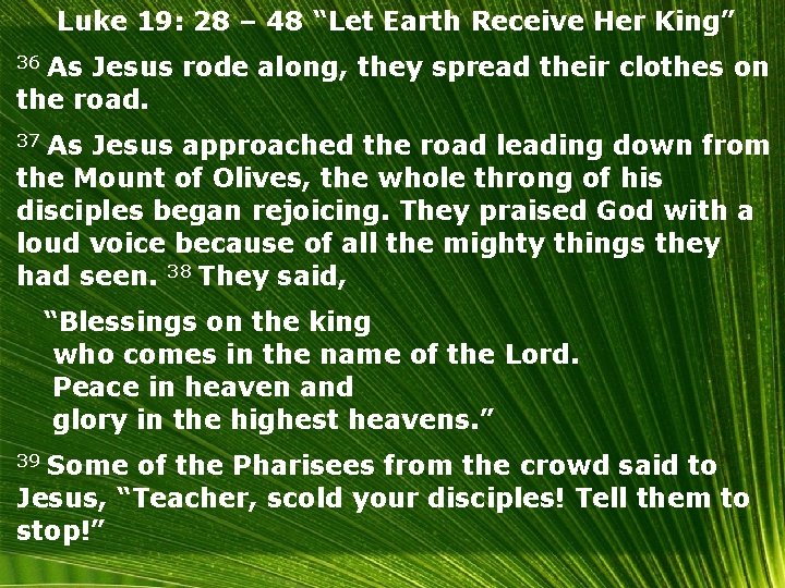 Luke 19: 28 – 48 “Let Earth Receive Her King” 36 As Jesus rode