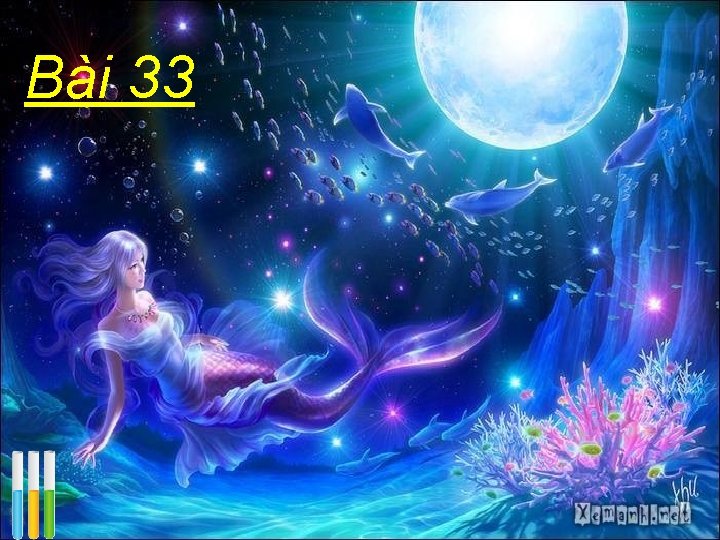 Bài 33 