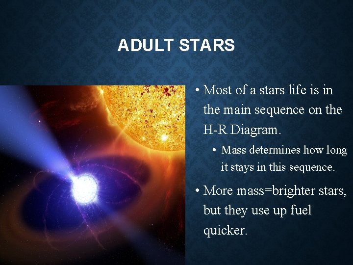 ADULT STARS • Most of a stars life is in the main sequence on ADULT STARS • Most of a stars life is in the main sequence on