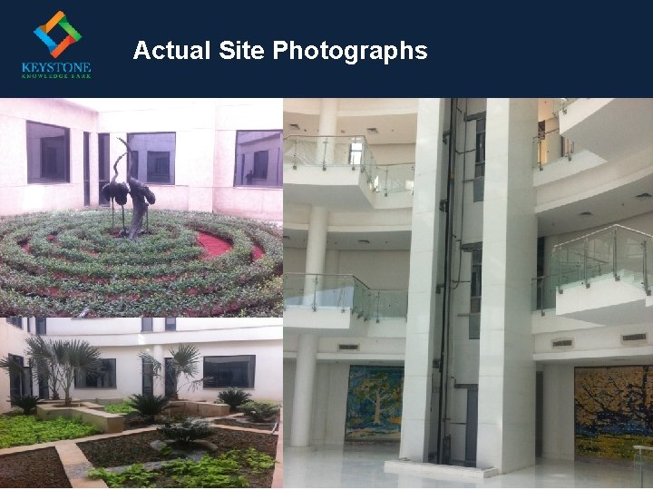 Actual Site Photographs 