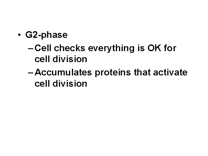  • G 2 -phase – Cell checks everything is OK for cell division