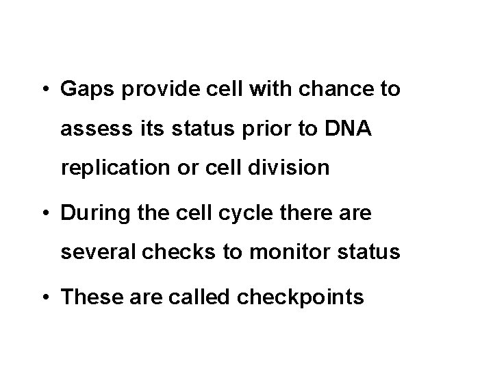  • Gaps provide cell with chance to assess its status prior to DNA