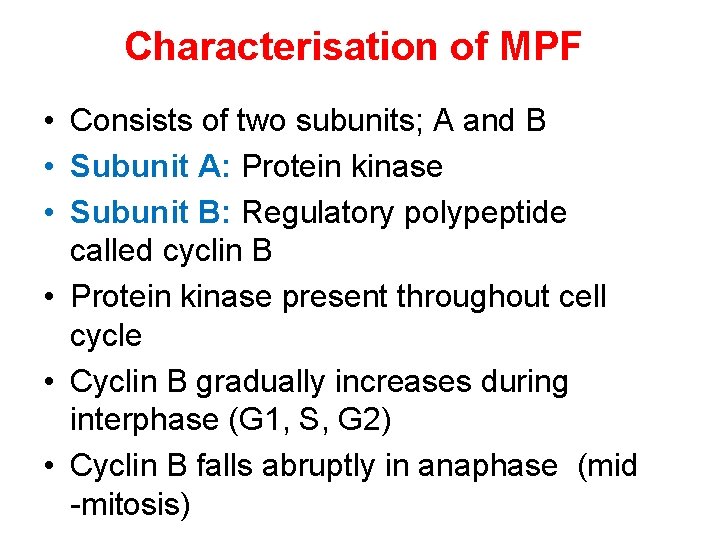 Characterisation of MPF • Consists of two subunits; A and B • Subunit A: