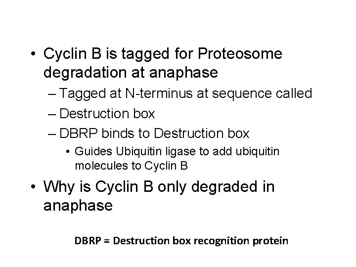  • Cyclin B is tagged for Proteosome degradation at anaphase – Tagged at