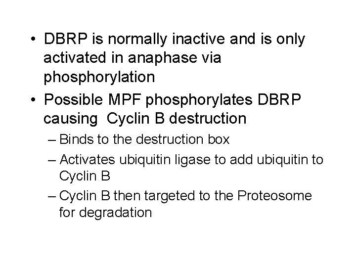  • DBRP is normally inactive and is only activated in anaphase via phosphorylation