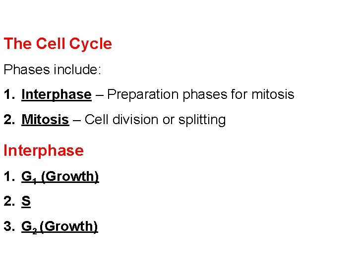 The Cell Cycle Phases include: 1. Interphase – Preparation phases for mitosis 2. Mitosis