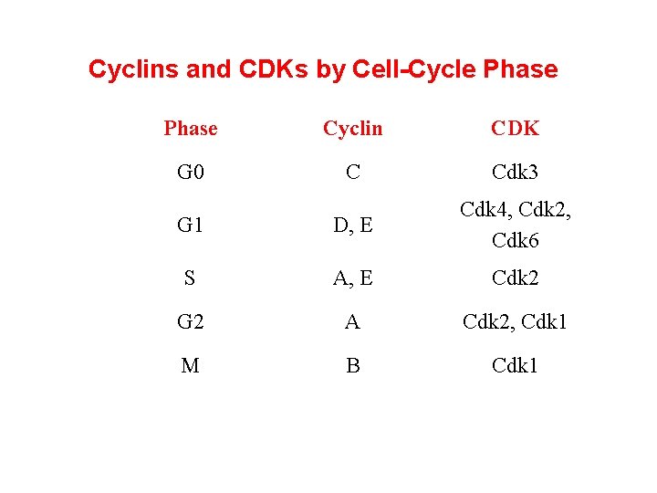 Cyclins and CDKs by Cell-Cycle Phase Cyclin CDK G 0 C Cdk 3 G