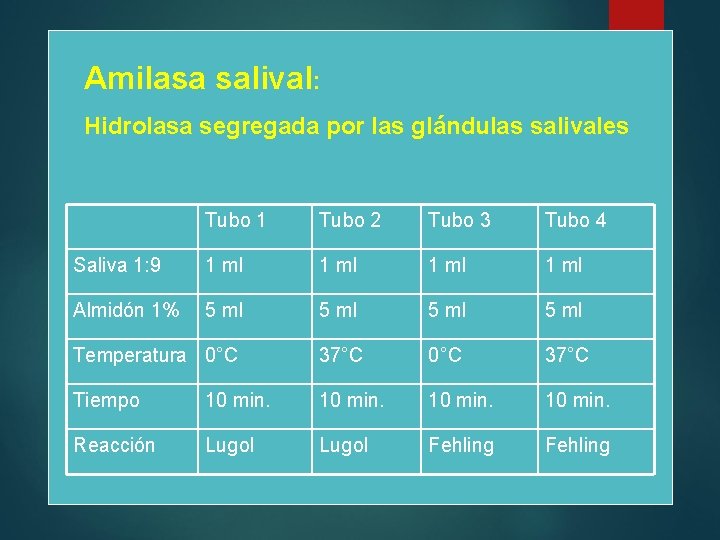 Amilasa salival: Hidrolasa segregada por las glándulas salivales Tubo 1 Tubo 2 Tubo 3
