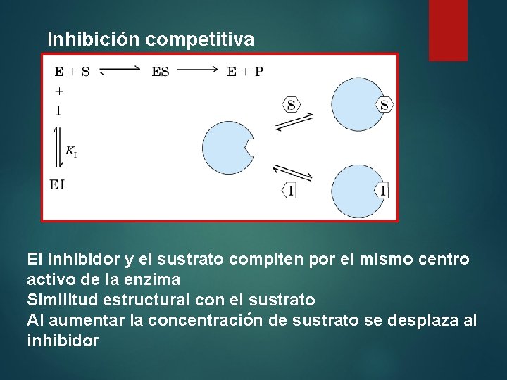 Inhibición competitiva El inhibidor y el sustrato compiten por el mismo centro activo de