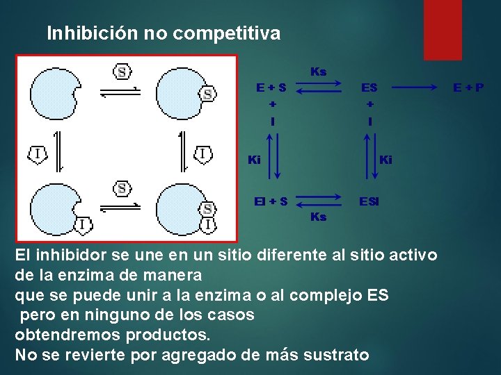 Inhibición no competitiva El inhibidor se une en un sitio diferente al sitio activo