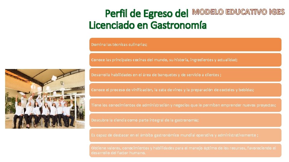 Perfil de Egreso del MODELO EDUCATIVO IGES Licenciado en Gastronomía Domina las técnicas culinarias;