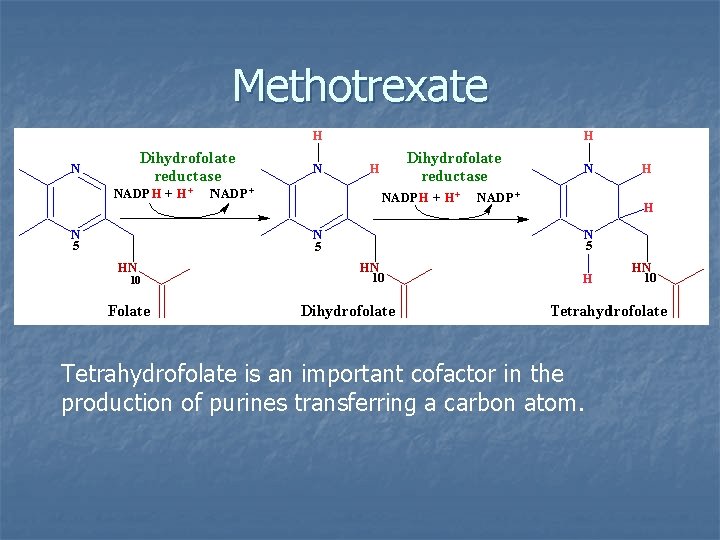 Methotrexate Tetrahydrofolate is an important cofactor in the production of purines transferring a carbon Methotrexate Tetrahydrofolate is an important cofactor in the production of purines transferring a carbon