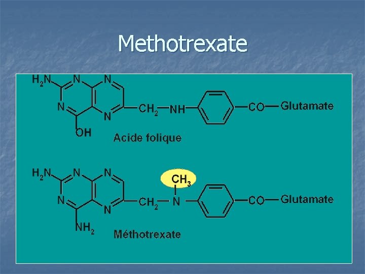 Methotrexate Methotrexate